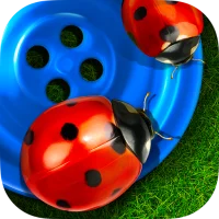 Bugs and Buttons
