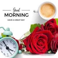 good morning rose images